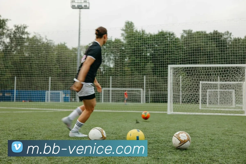 威尼斯人娱乐官网发展历程